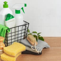 Spring cleaning supplies...although the supplies you use to clean your hearing aids will look much different!
